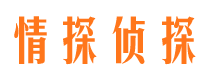 甘井子捉小三公司